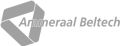 Ammeraal Beltech logo